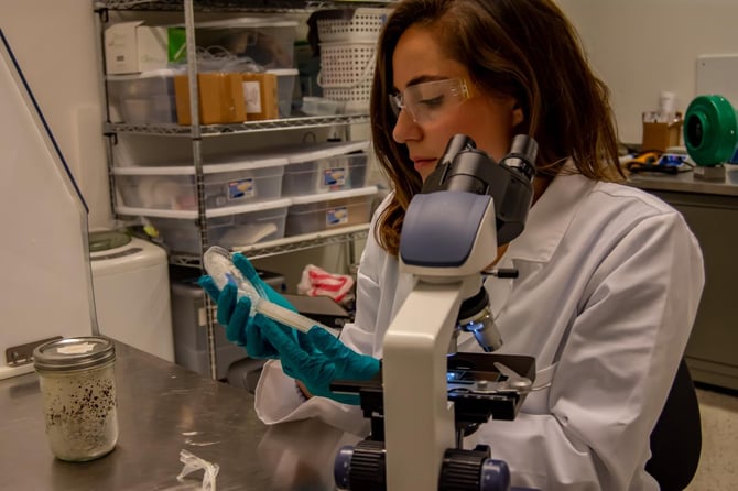 Michelle Ruiz at microscope