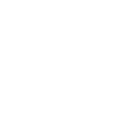 KPMG_logo_website